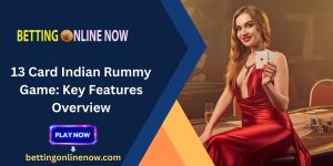 13 Card Indian Rummy