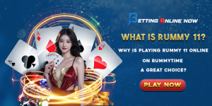 Playing Rummy 11 Online on Rummytime
