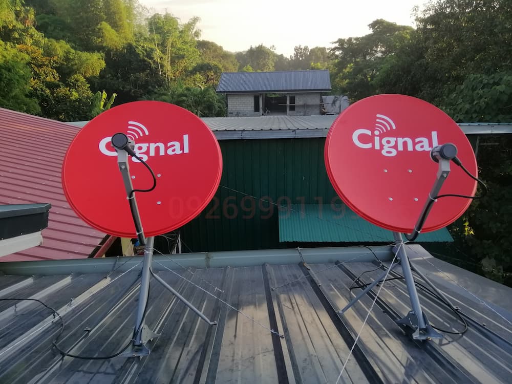 cignal watch NBA games