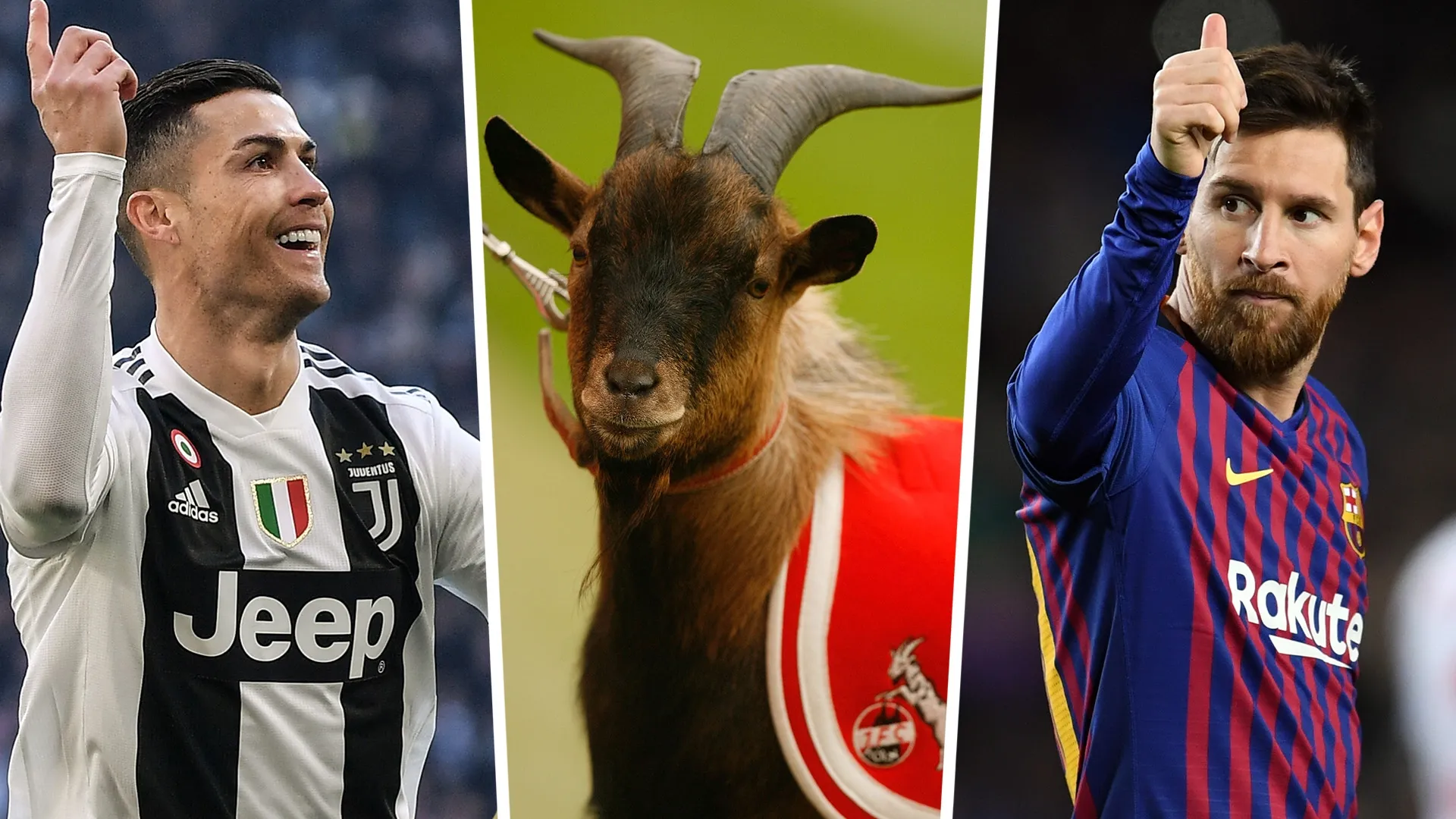 Every sport needs a GOAT.