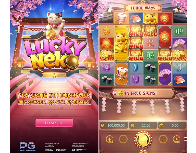 Lucky Neko Slot Game Rules for Beginners