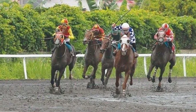 MetroTurf FastBet (Official Online Betting Platform)