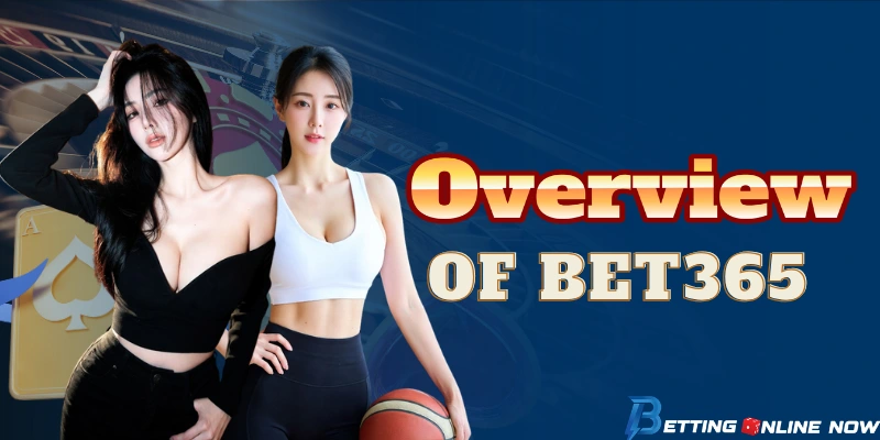 Bet365 Overview